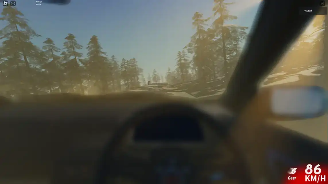 Rally Dust
